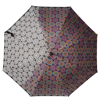 IMPLIVA - Wetlook paraplu - Handopening - Windproof - Ø 102cm - Multi kleur